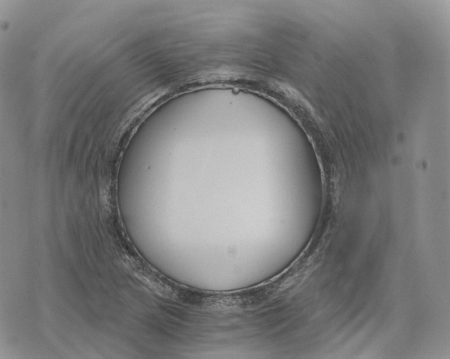 X0000072951217200608111617