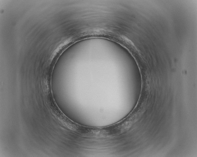 X0000072951218200608111617