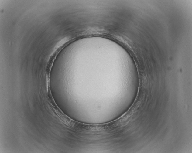 X0000072951219200608111617