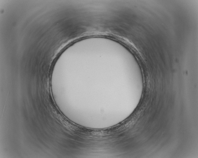 X0000072951220200608111617