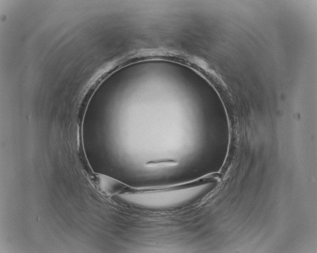 X0000072951221200608111617