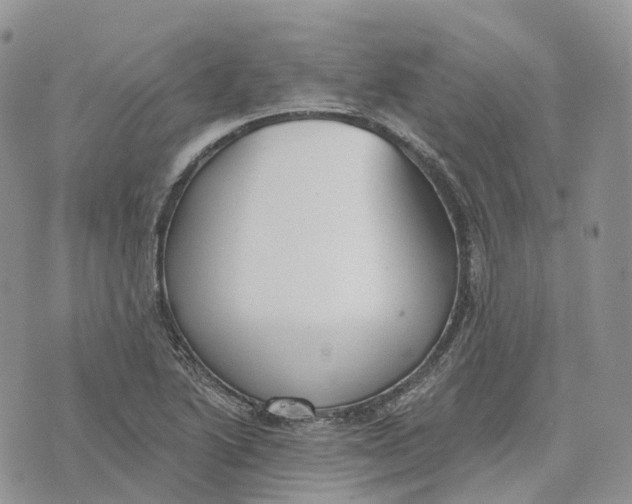 X0000072951222200608111617