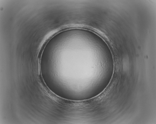 X0000072951223200608111617