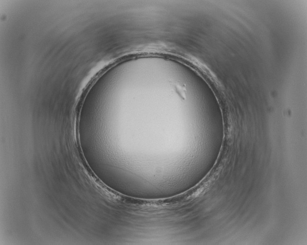 X0000072951224200608111617