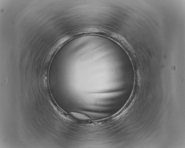 X0000072951225200608111617