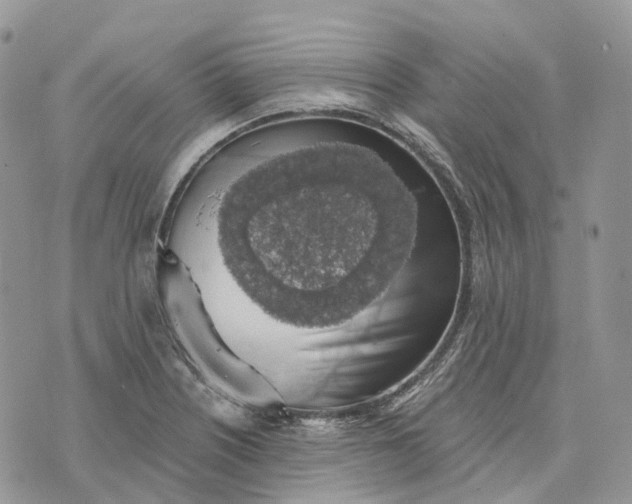 X0000072951226200608111617