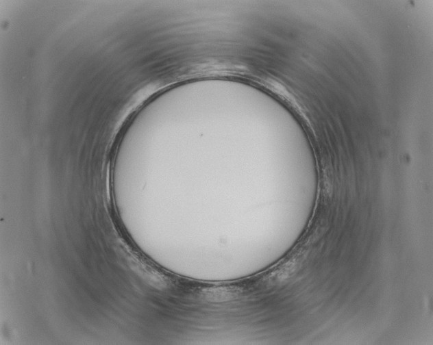 X0000072951227200608111617