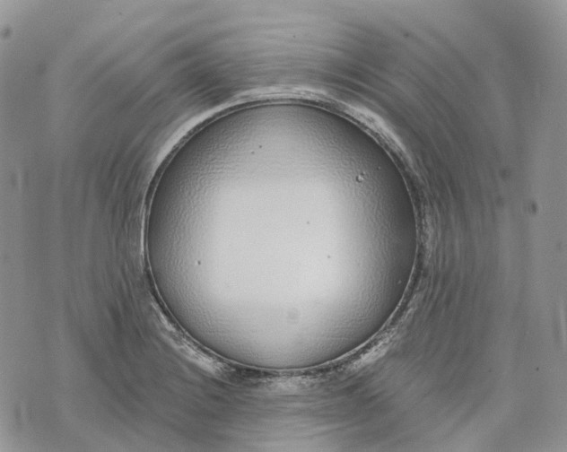 X0000072951228200608111617