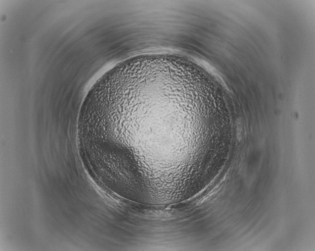 X0000072951229200608111617