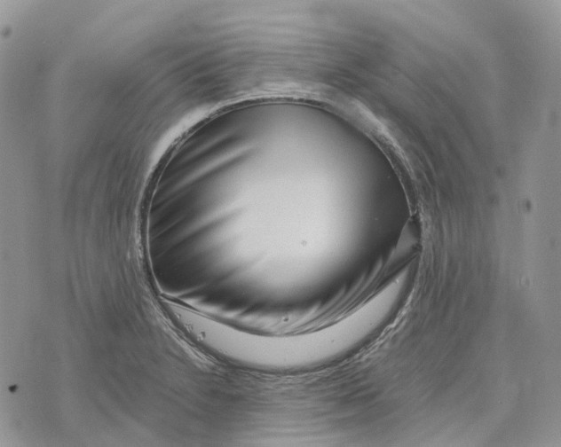 X0000072951230200608111617