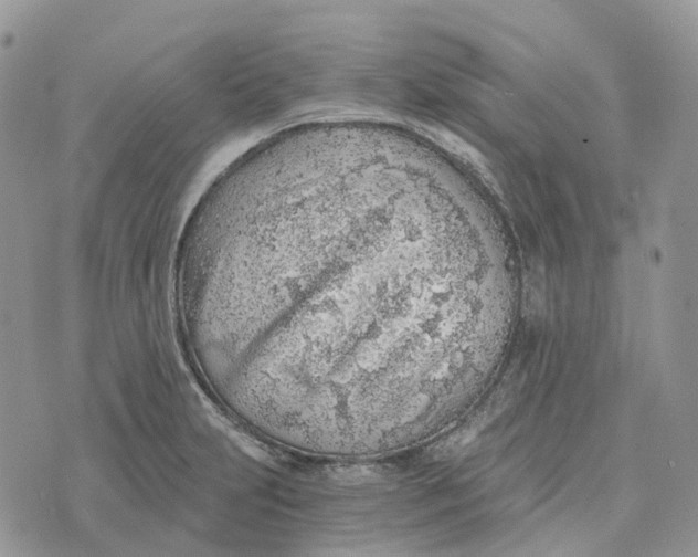 X0000072951231200608111617