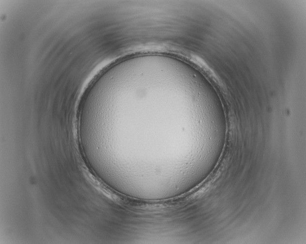 X0000072951232200608111617