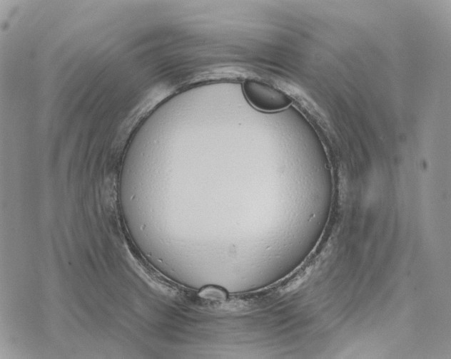 X0000072951233200608111617