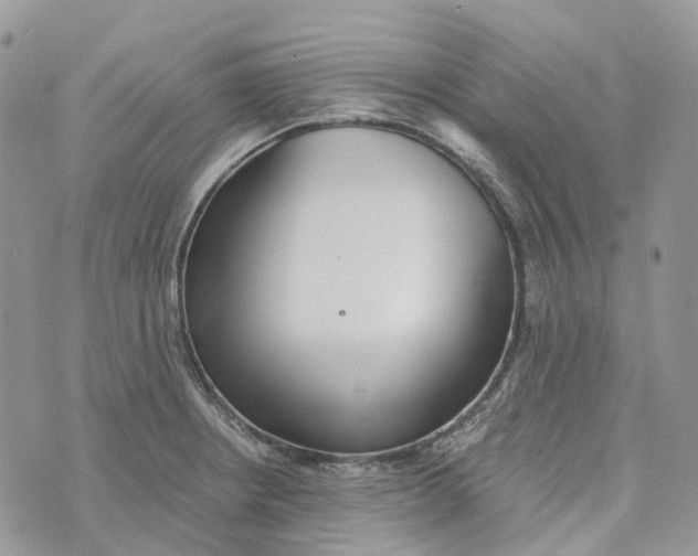 X0000072951234200608111617