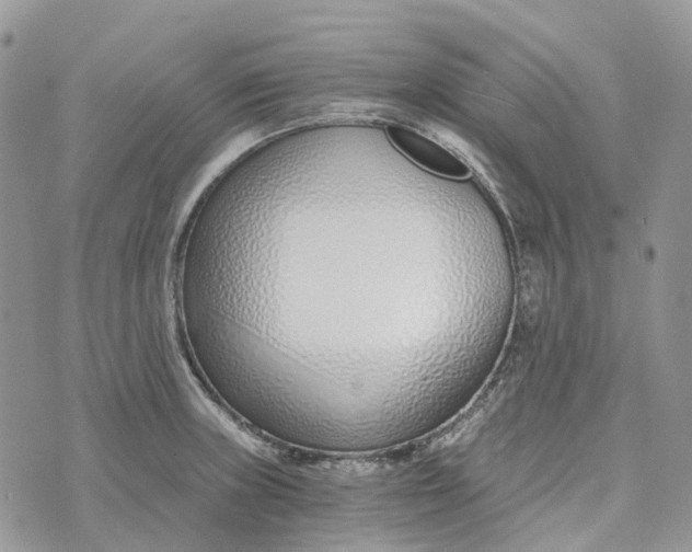 X0000072951235200608111617