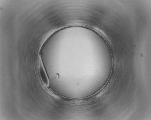 X0000072951236200608111617