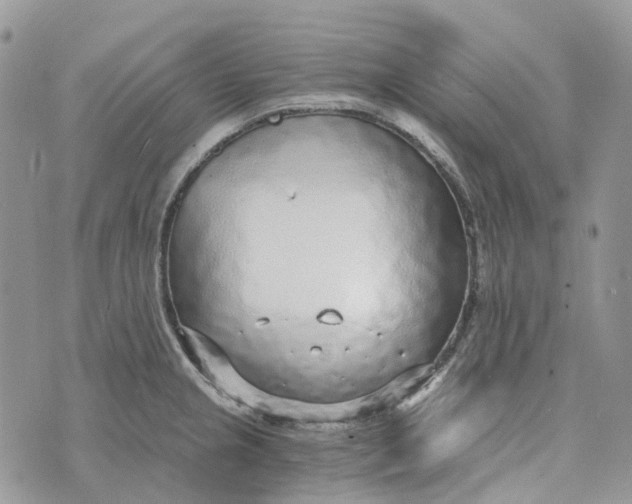 X0000072951237200608111617