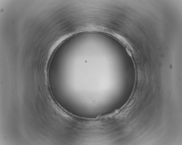 X0000072951238200608111617