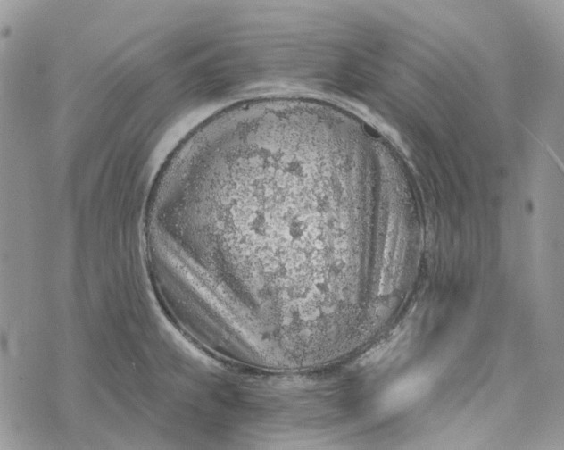 X0000072951239200608111617