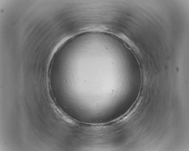 X0000072951240200608111617