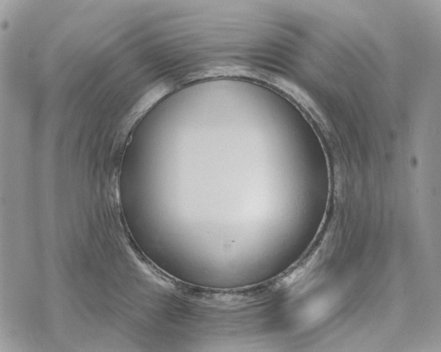 X0000072951241200608111617