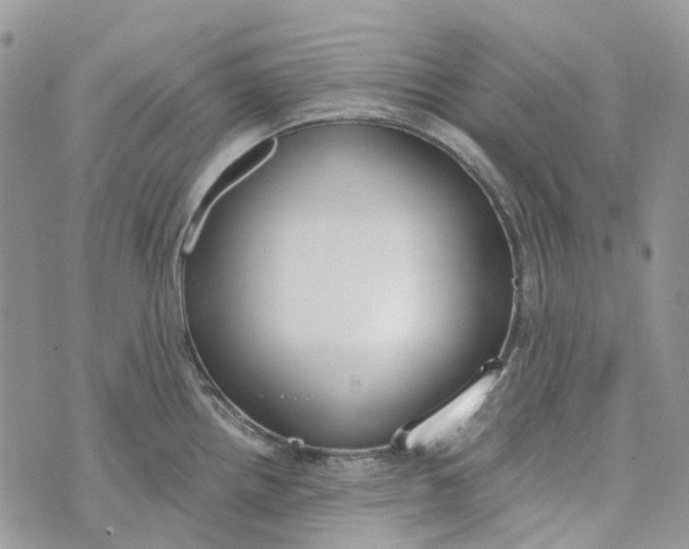 X0000072951242200608111617