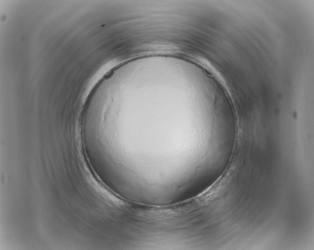 X0000072951243200608111618