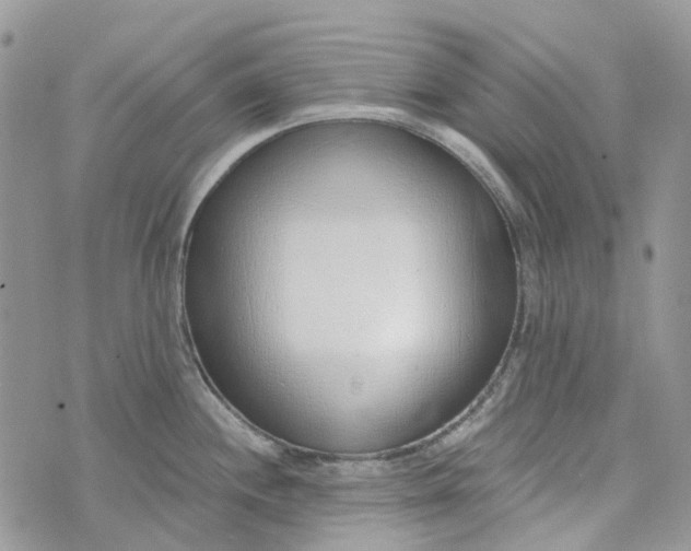 X0000072951244200608111618