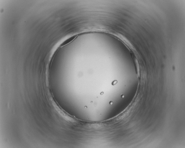 X0000072951246200608111618