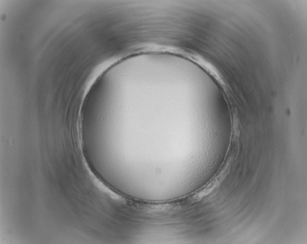 X0000072951247200608111618