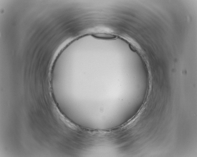 X0000072951248200608111618