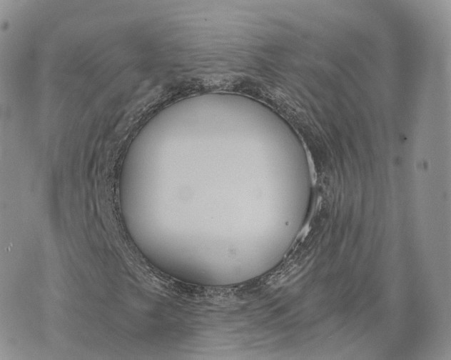 X0000072951249200608111617