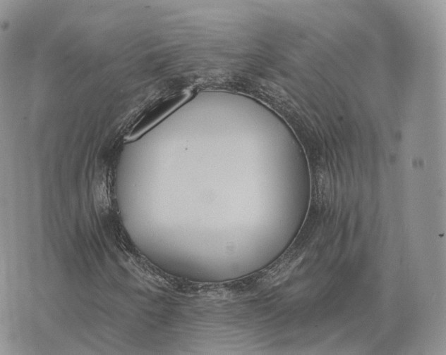 X0000072951250200608111617