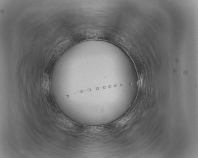 X0000072951251200608111617