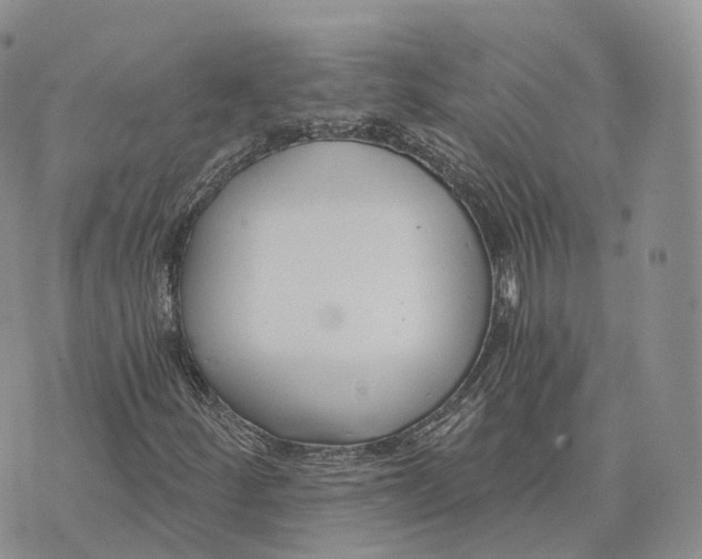 X0000072951252200608111617