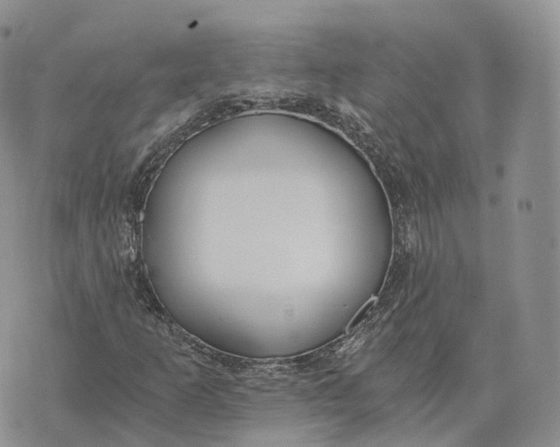 X0000072951253200608111617