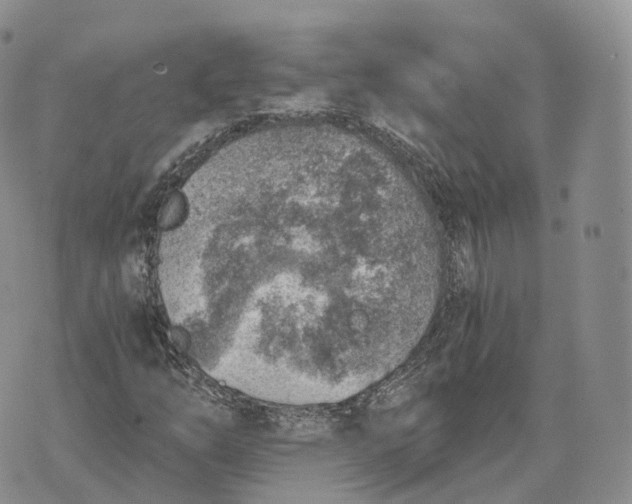 X0000072951254200608111617