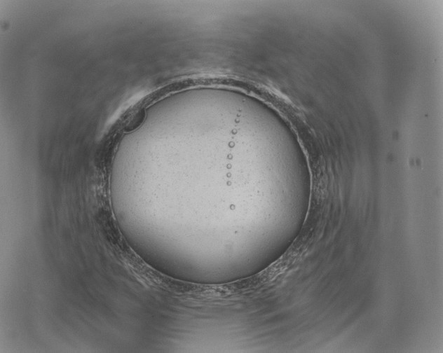 X0000072951255200608111617