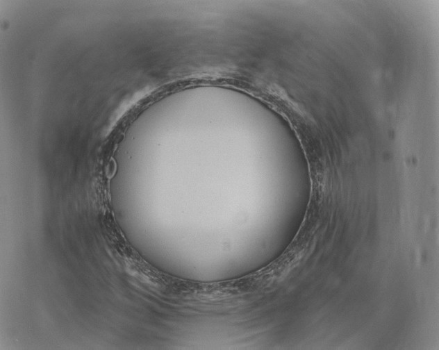 X0000072951256200608111617