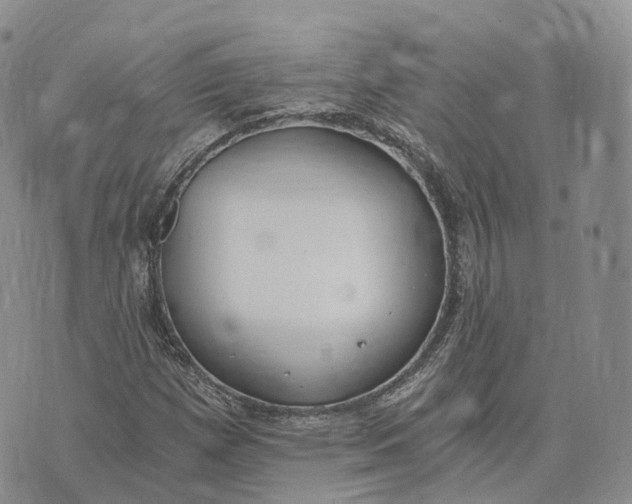 X0000072951257200608111617