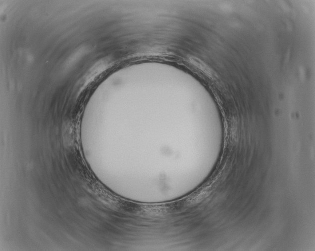 X0000072951258200608111617