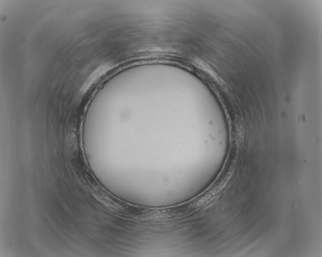 X0000072951259200608111617