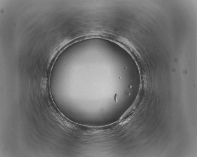 X0000072951260200608111617