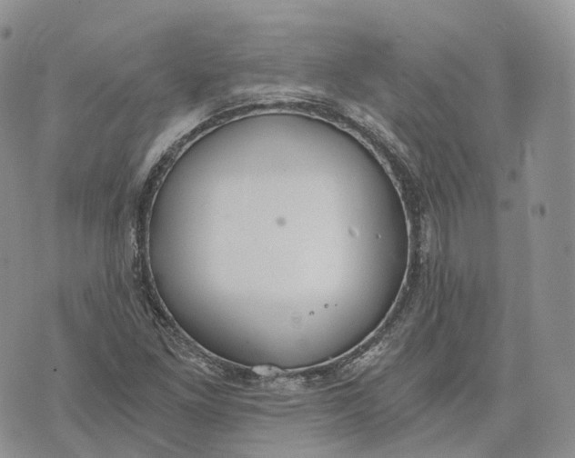 X0000072951261200608111617