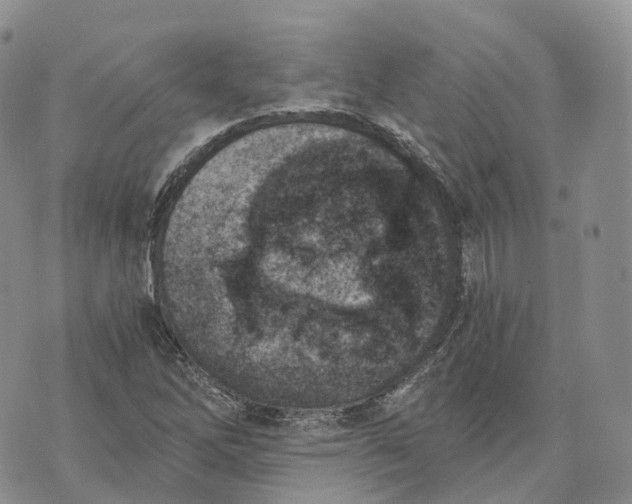 X0000072951262200608111617