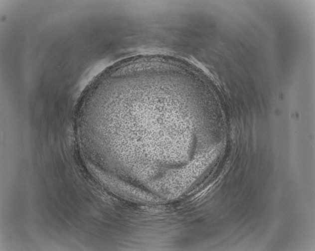 X0000072951263200608111617