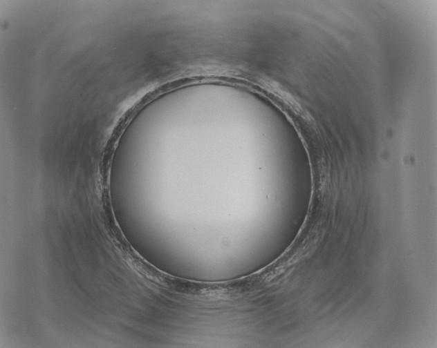 X0000072951264200608111617