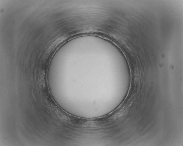 X0000072951265200608111617