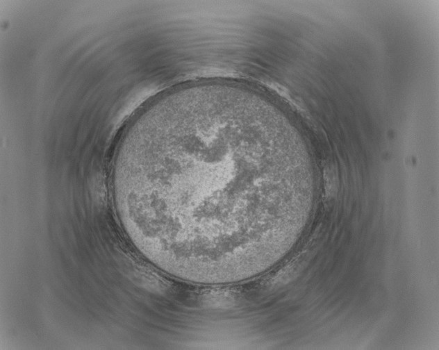 X0000072951266200608111617