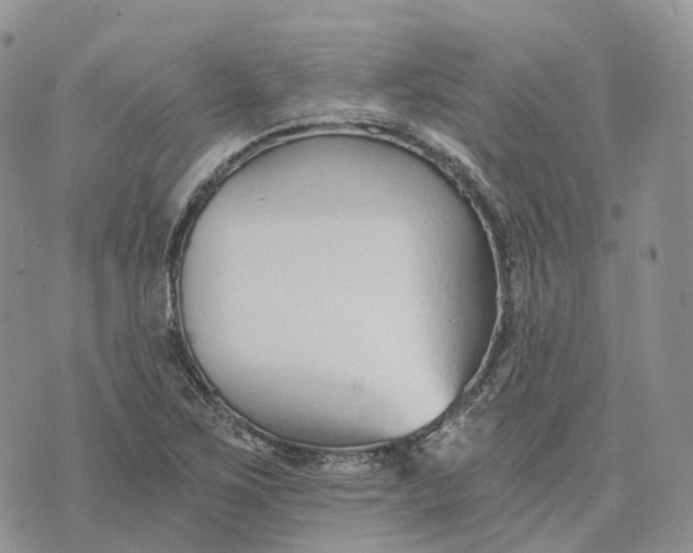 X0000072951267200608111617